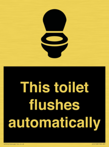 This toilet flushes automatically